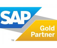 SAP Business ONE Software