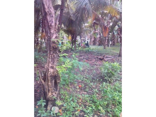 Rush Sale Agricultural Lots for Sale in GenSan
