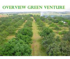 MONTHLY LOT INSTALLMENT - Overview Green Venture